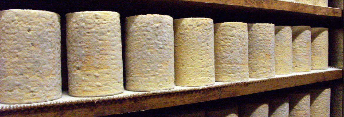 L'étape de l'affinage dans la fabrication du fromage