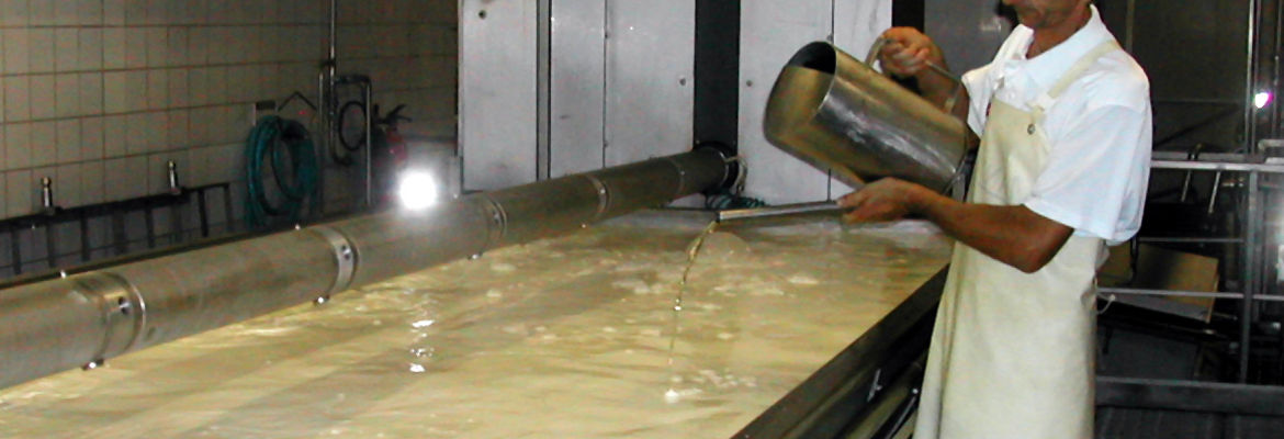 L'étape de l'emprésurage dans la fabrication du fromage