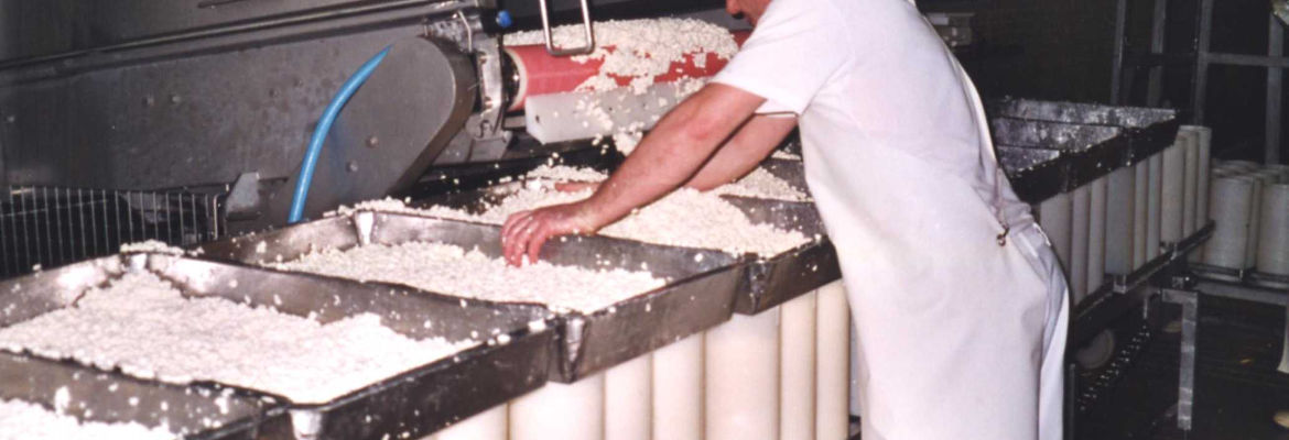 L'étape du moulage dans la fabrication du fromage