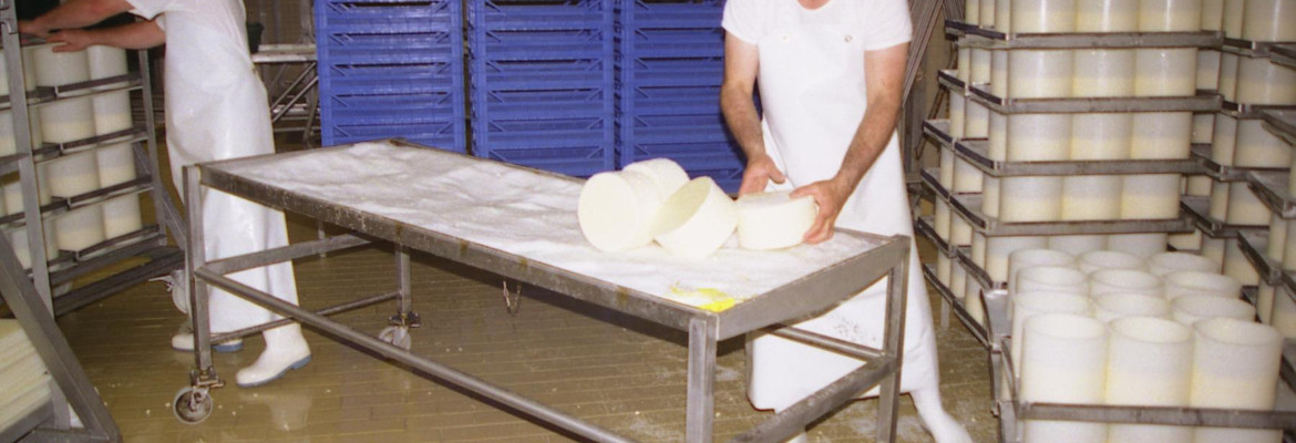 L'étape du salage dans la fabrication du fromage