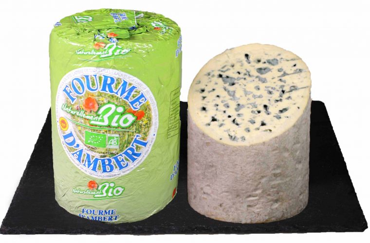 fourme d'ambert bio